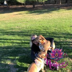 Meet your Posher, Lydia